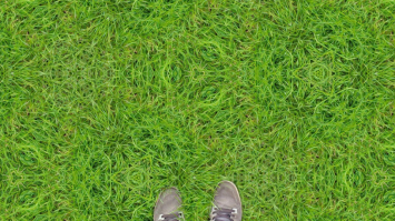 symmetry on grass
