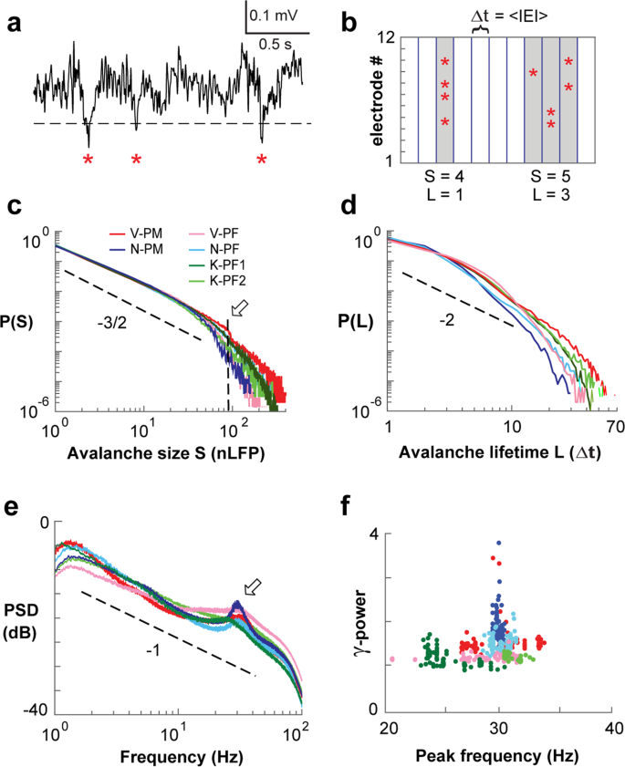 avalanche graphs